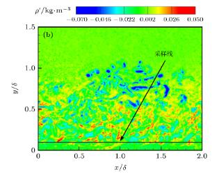 激波和紊流边界层，相互作用中的湍流放大现象