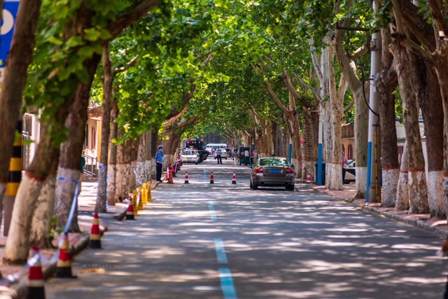 禁酒驾,十措并举,废刑罚;吊驾照改一年,勿株连后代,保民生。