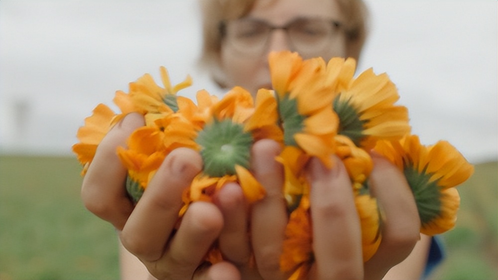 宝弘金盏花面霜,一瓶面霜搞定冬季敏感肌抗老