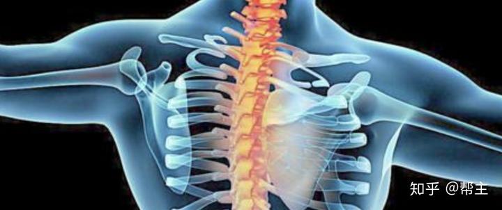 午睡办公两用躺椅质量,午睡神器办公躺椅