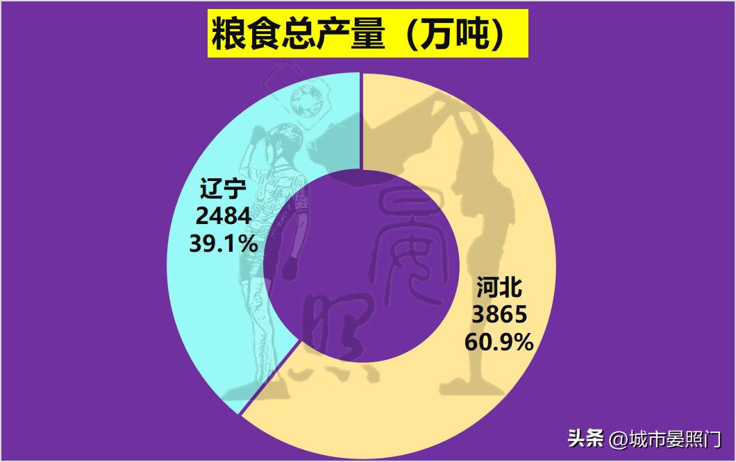 同为天涯沦落人,少3200万人的辽宁,已与河北难分伯仲
