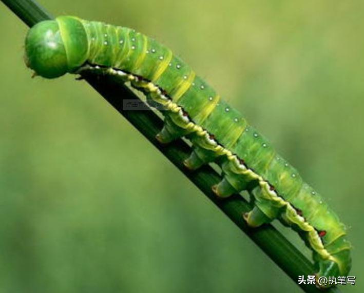 细思极恐的冷知识,细思极恐的冷知识最火