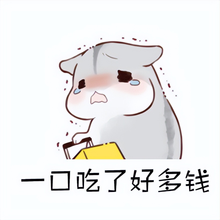 上海当程序员的感受,程序员在成都发展前景