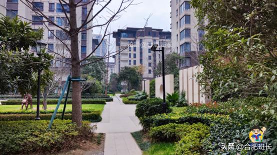 合肥滨湖招商雍华府附近规划,合肥省府中轴招商雍华府