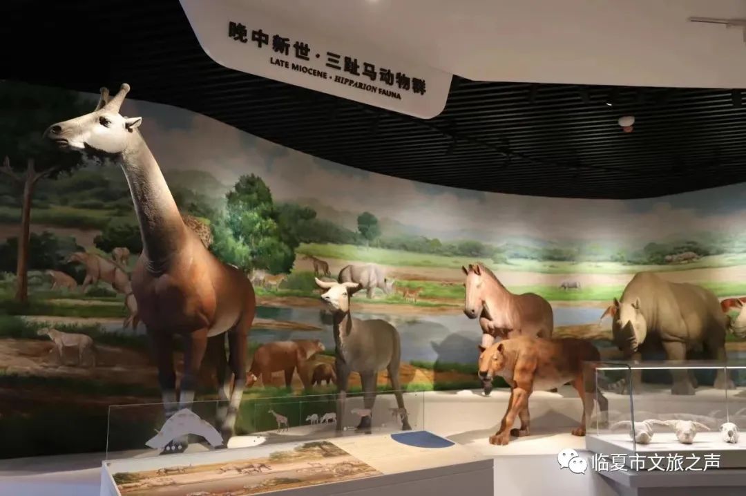 河州游玩攻略,河上一日游最佳路线