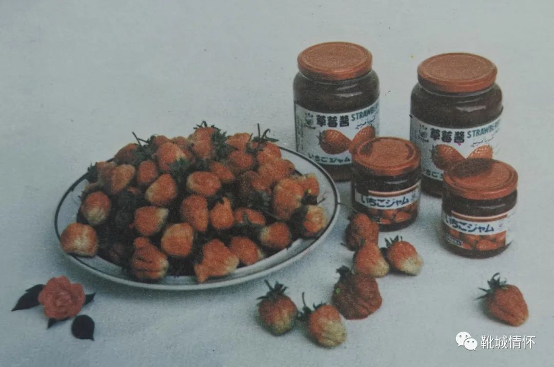 靴城情怀保定黎枢,靴城情怀保定