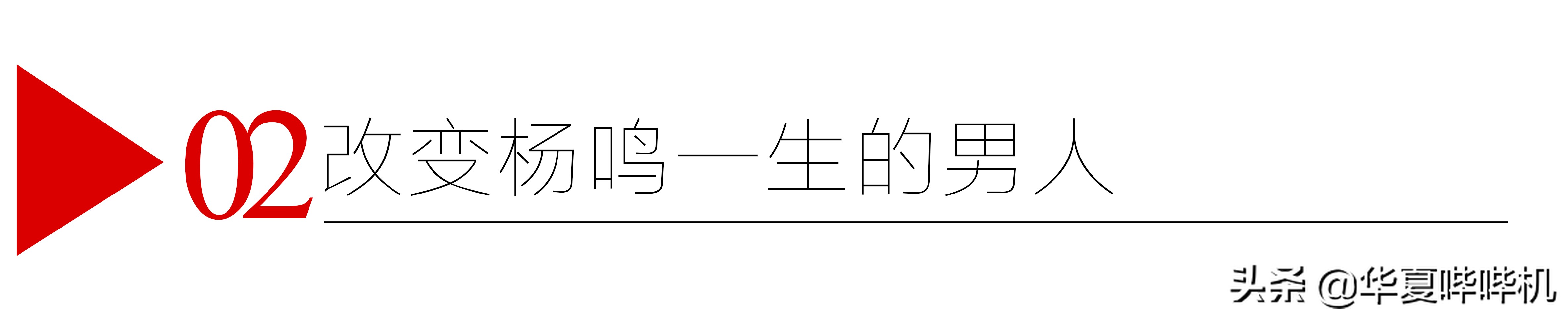 杨鸣输球了吗,杨鸣为啥这么受人尊敬