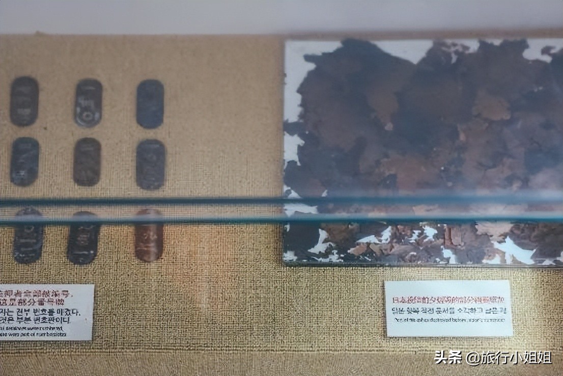 夏日海边浪漫迷人,滨城风光秀丽浪漫气息爆表