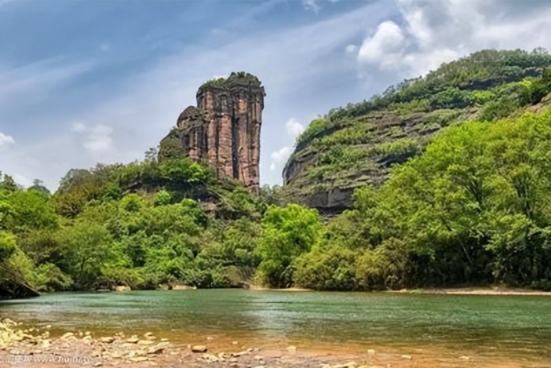 痛心的技术泄密：英国*子骗**从中国偷走两种树苗，中国损失百亿纹银