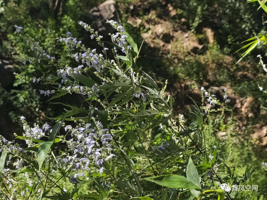 白虎涧为什么被称为北京的后花园,北京名胜白虎涧