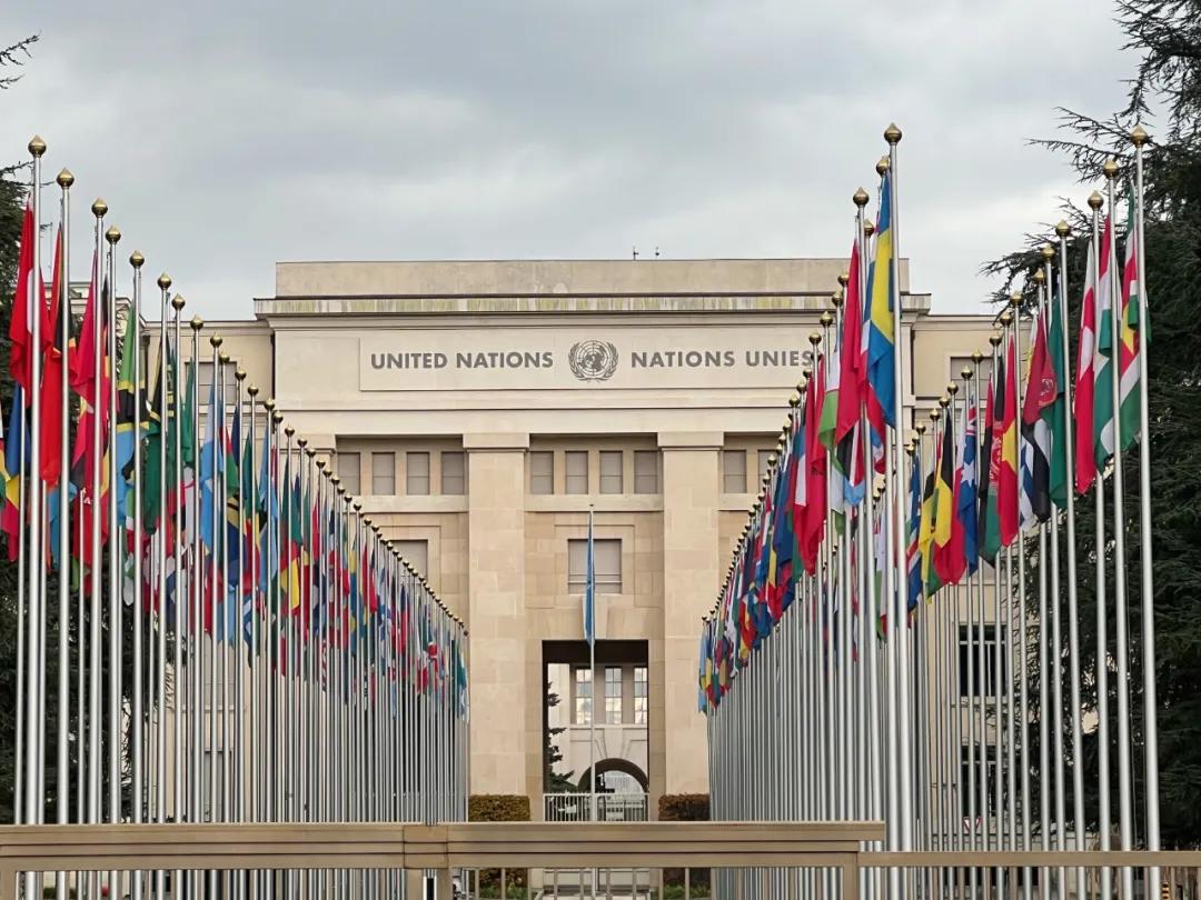 去欧洲几国游需要怎么办理护照,新加坡去欧洲旅游签证