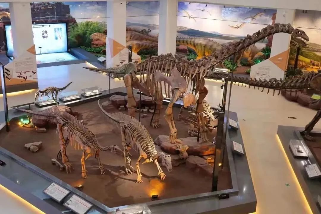 永靖旅游攻略一日游多少钱,永靖秋日一日游必去景点