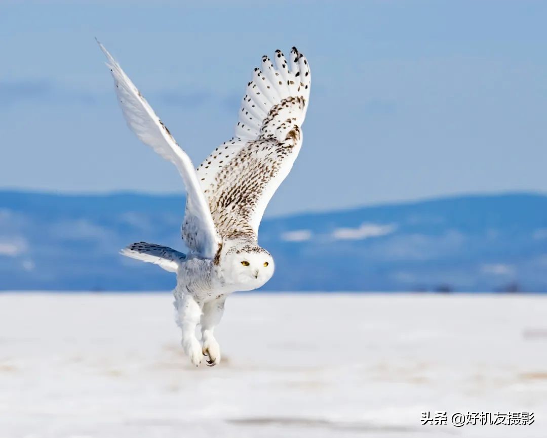手机相机与朋友圈,发朋友圈用啥相机