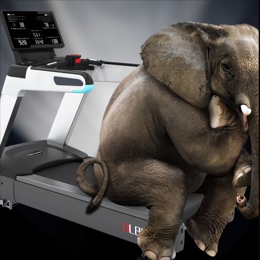 机械跑步机和电动跑步机该怎么选,小乔跑步机和小金跑步机对比