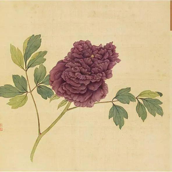 蒋廷锡牡丹画法,蒋廷锡百种牡丹画法