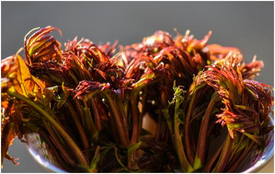 谷雨节气能喝什么茶水,谷雨节喝谷雨茶