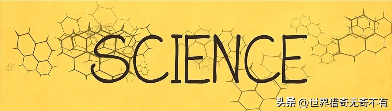 ufo到底是什么原理,ufo到底是什么骗局
