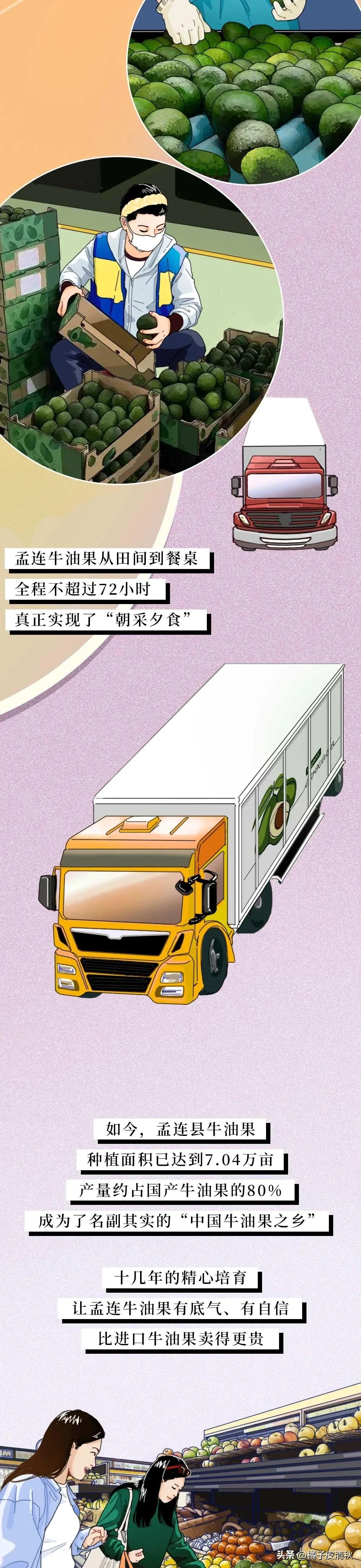 墨西哥进口牛油果,墨西哥牛油果云南