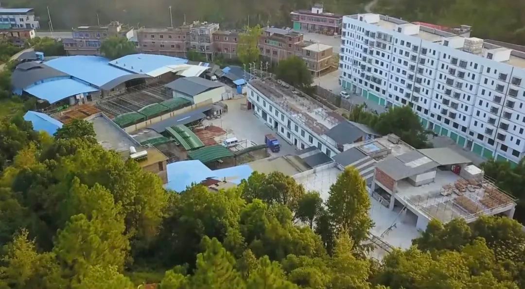 赣州沙地德源板鸭食品有限公司,江西赣州德源沙地板鸭