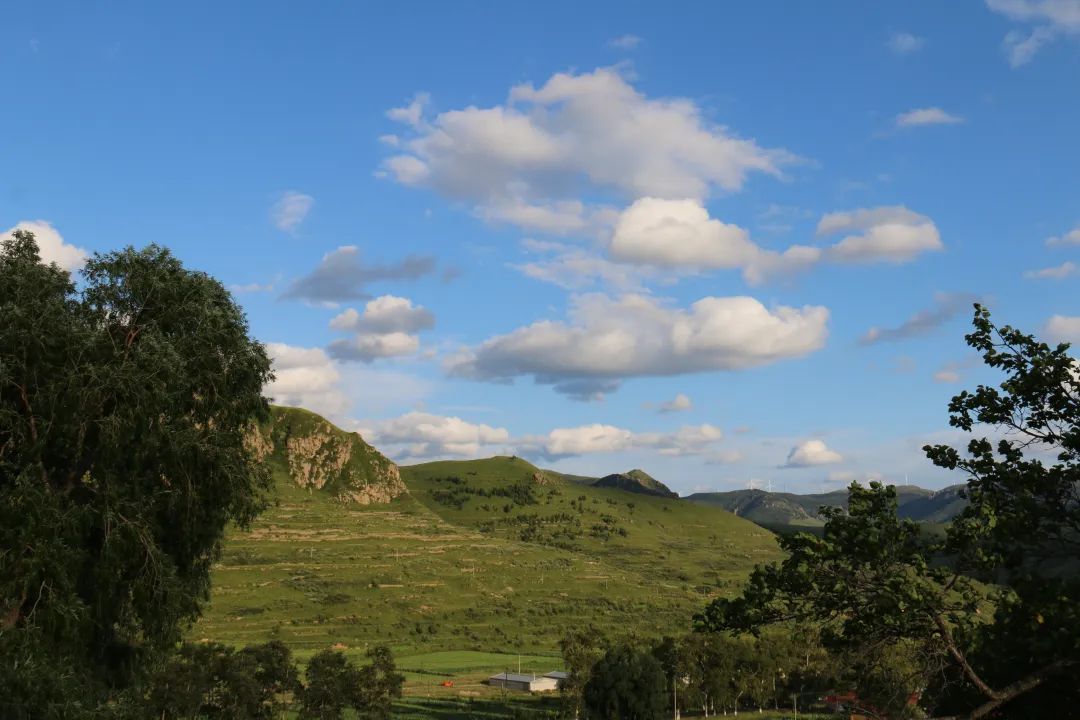 离职老板不同意怎么离开,提了离职老板不让走怎么办