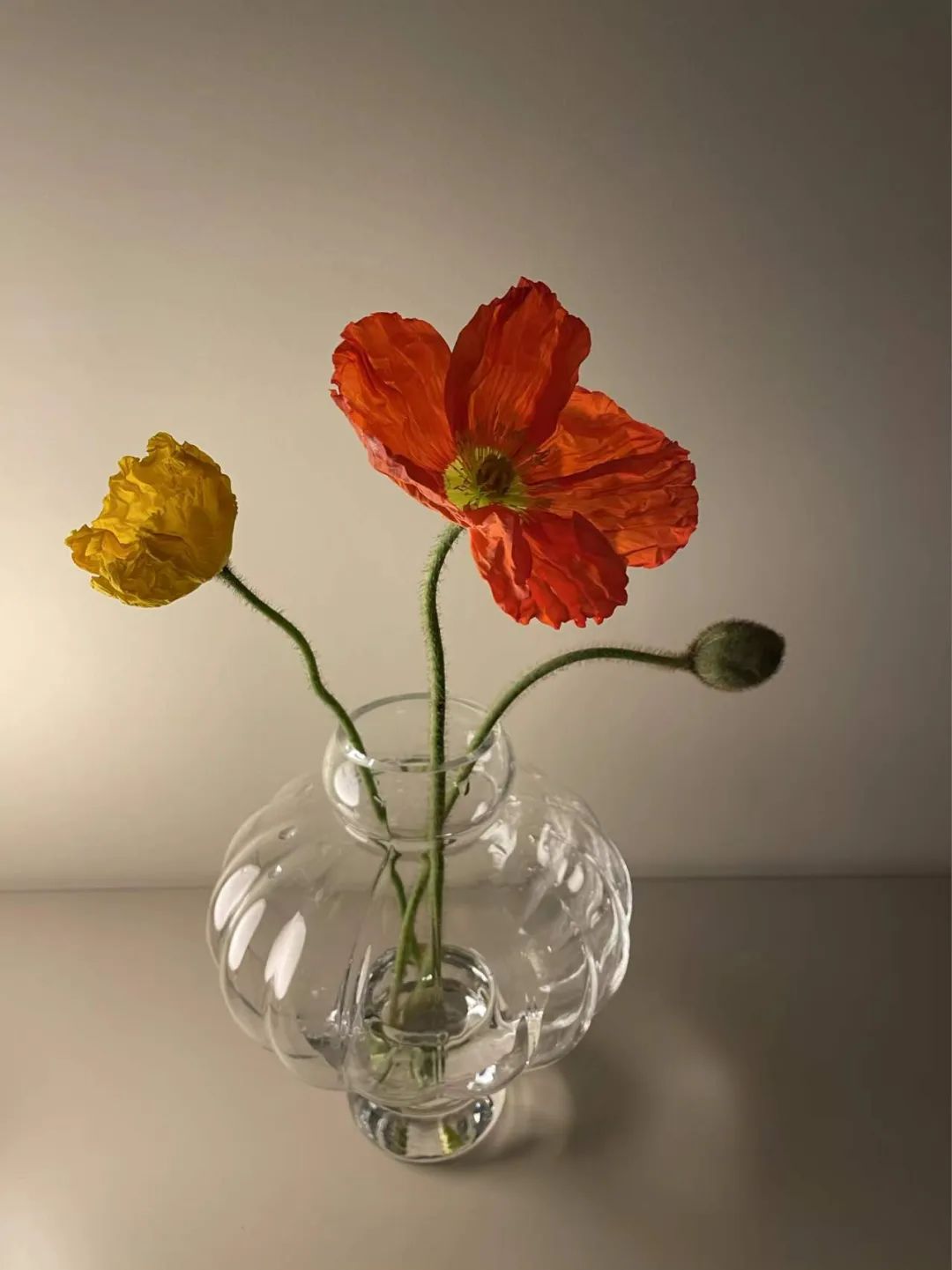 新趋势家居,新趋势家居生活产品