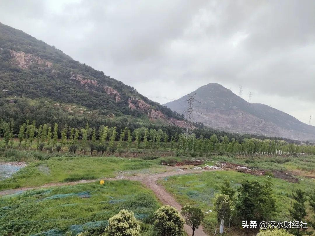 康缘药业优秀员工,康缘药业的高管持股