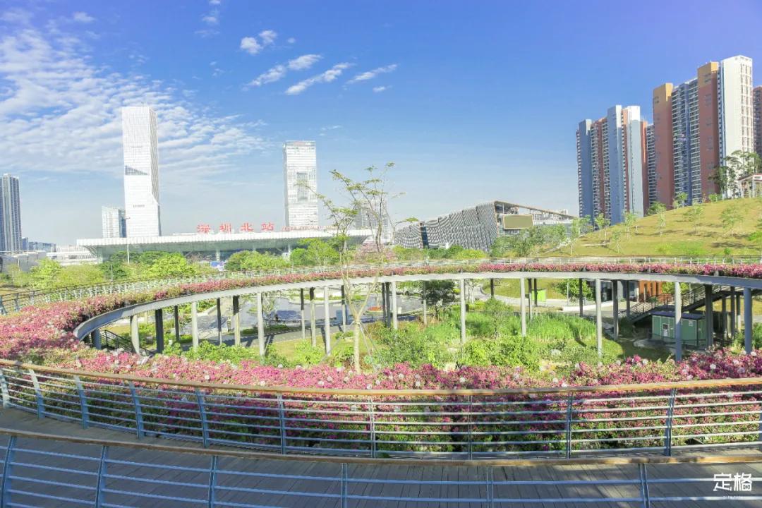 深圳户外公园最大滑滑梯,深圳滑滑梯免费南山公园附近