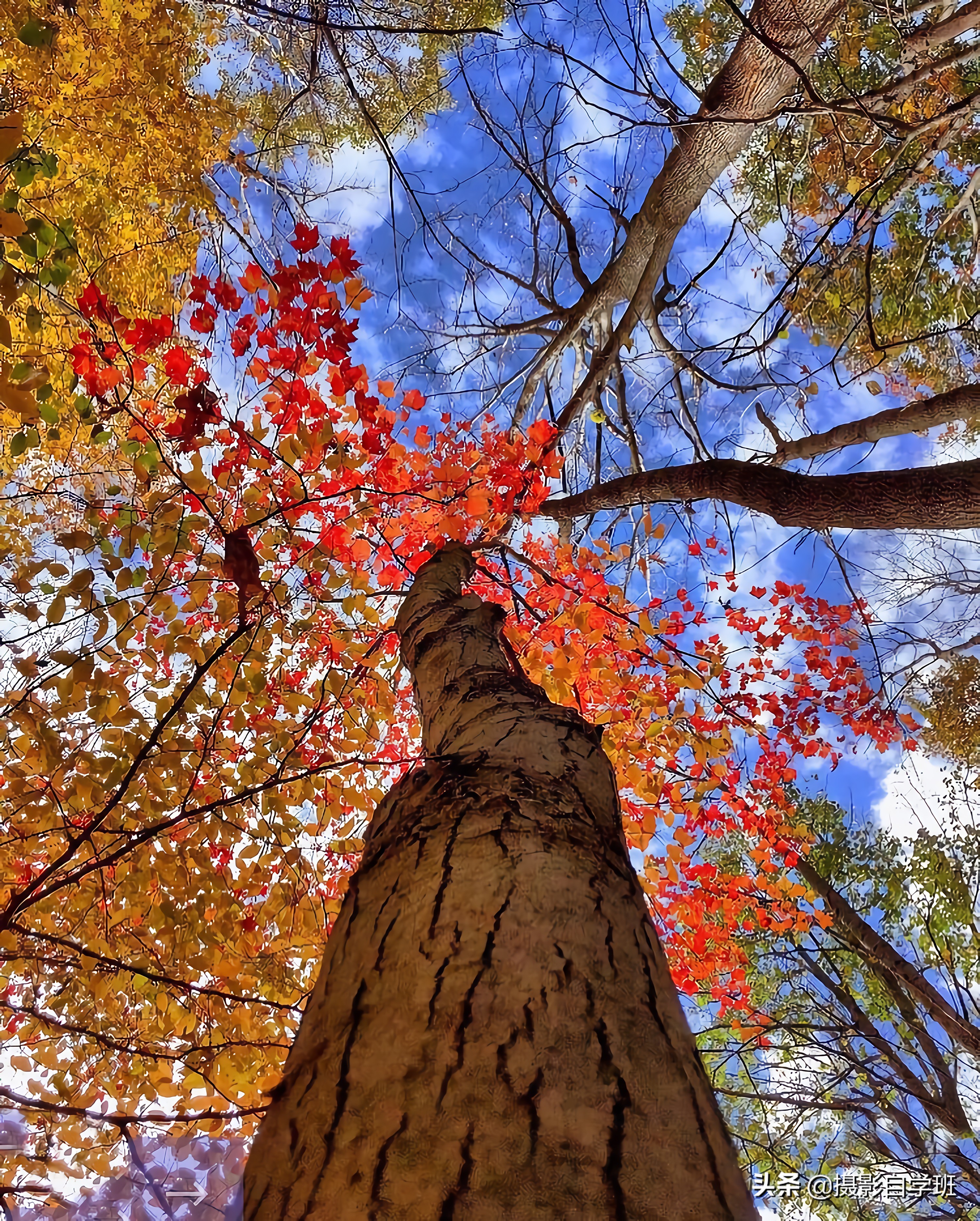 风景摄影如何拍摄好看,拍风光照的12个摄影技巧