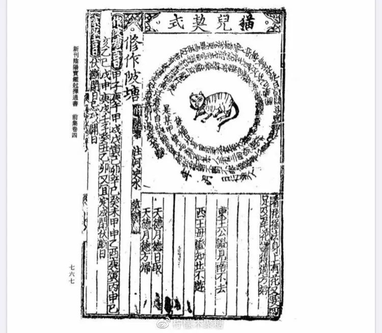 饲养一只占有欲的猫,饲养一只占有欲超强的猫