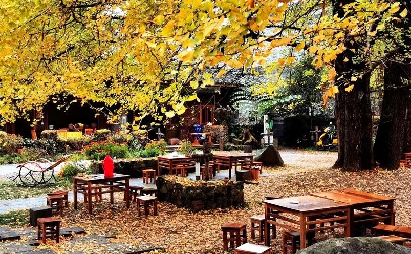 云南十大必玩景点你去过几个,云南丽江十大旅游景点大全