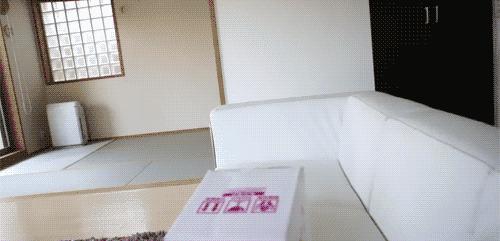 猫咪可爱萌图用猫猫的尾巴比心,可爱小猫猫超萌照片戴头套