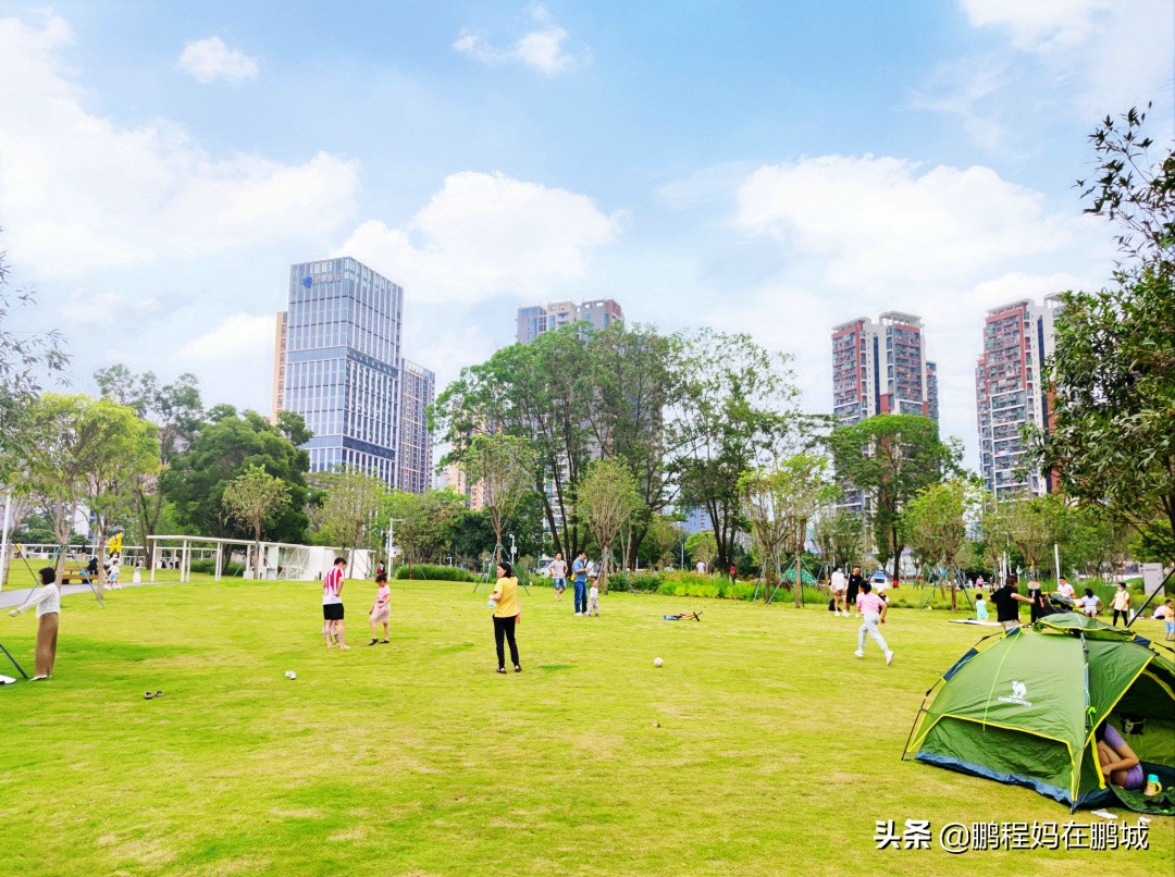 深圳龙华区观澜中心公园,龙华观澜中心公园