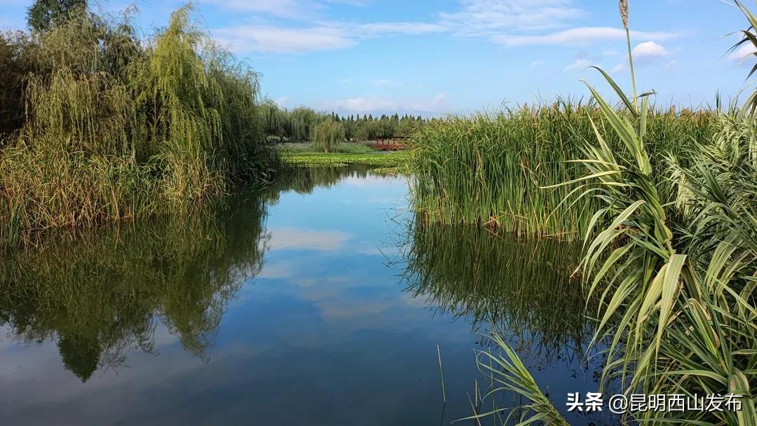 昆明周末打卡最多的网红地方,昆明1903公园最佳网红打卡地