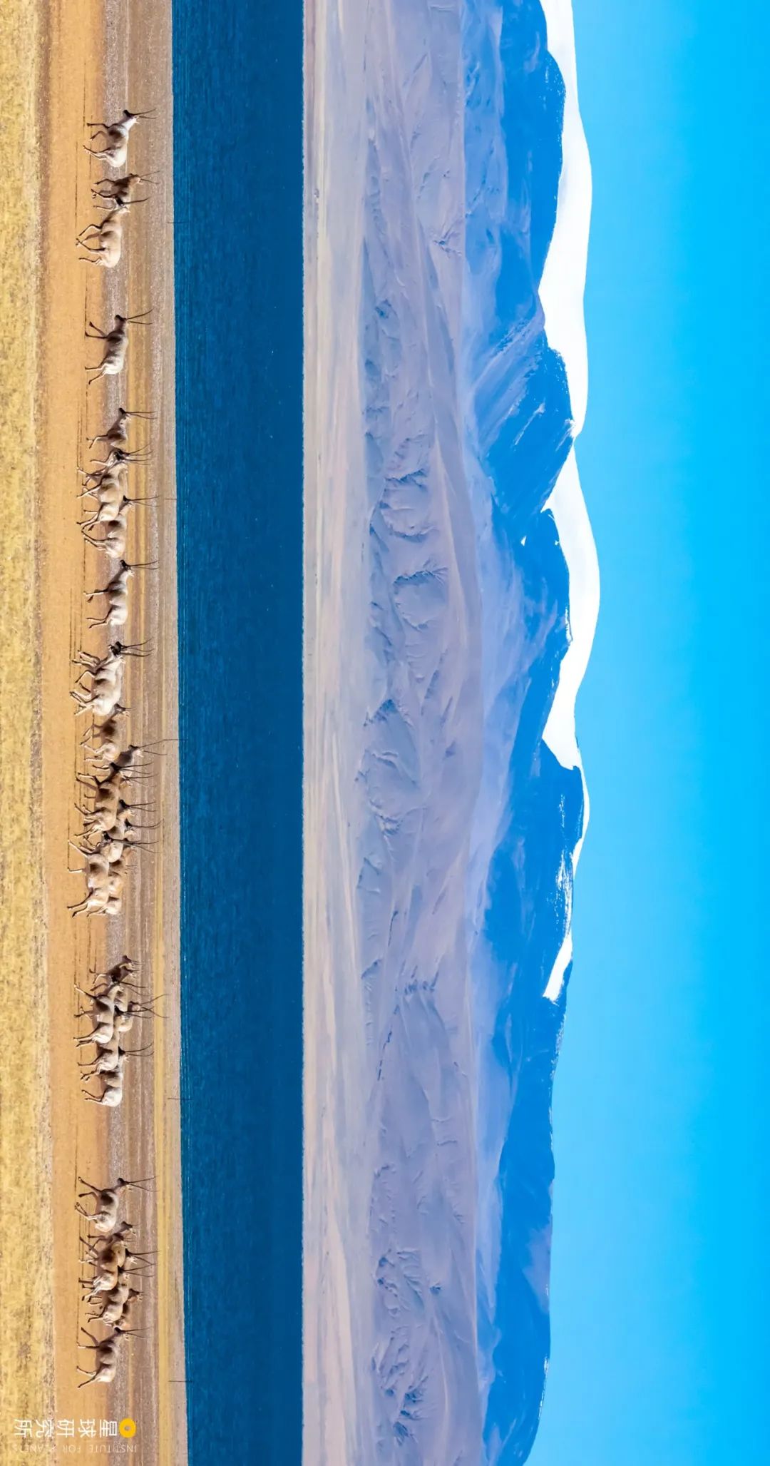 去青藏高原，看“千错万错”