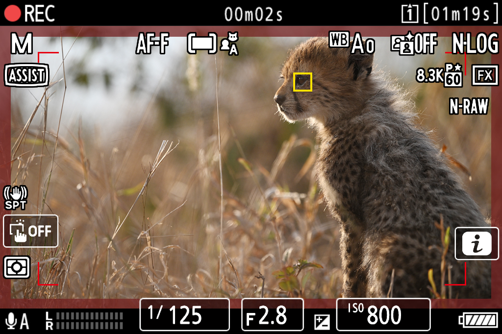 尼康最惨的财报,尼康业绩大幅增长