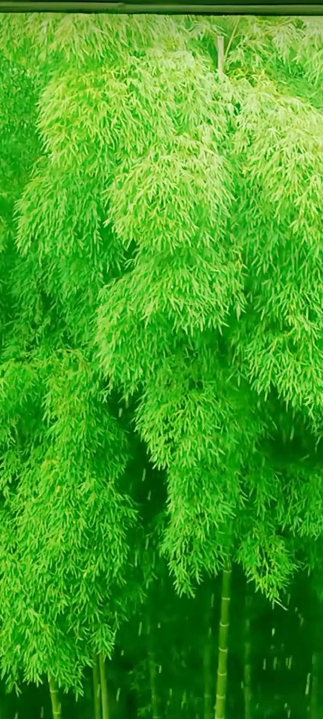 2023年农历是什么年癸卯年,2023年农历癸卯年是金兔年吗