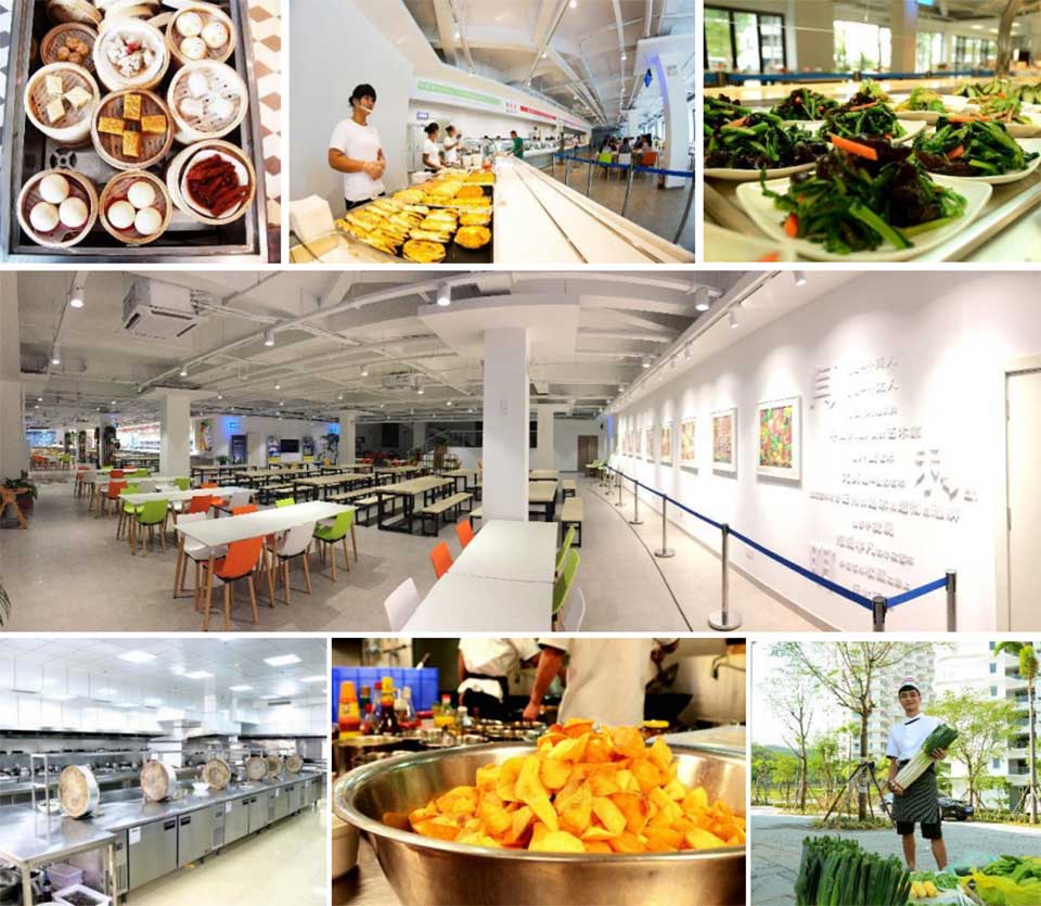 乐东波波利海岸赶海时间表,乐东龙栖湾波波利海岸好吗