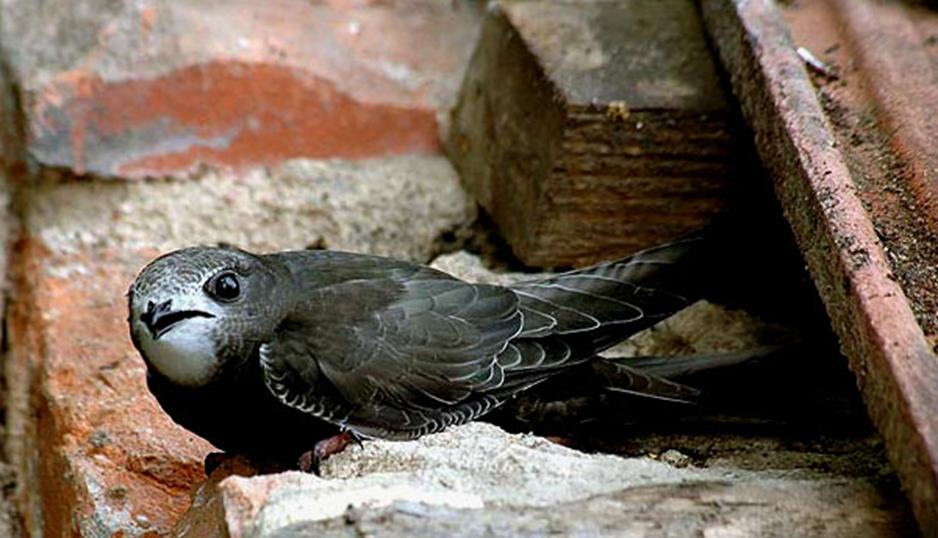 古代的钱塘江,罗刹江为什么改名钱塘江