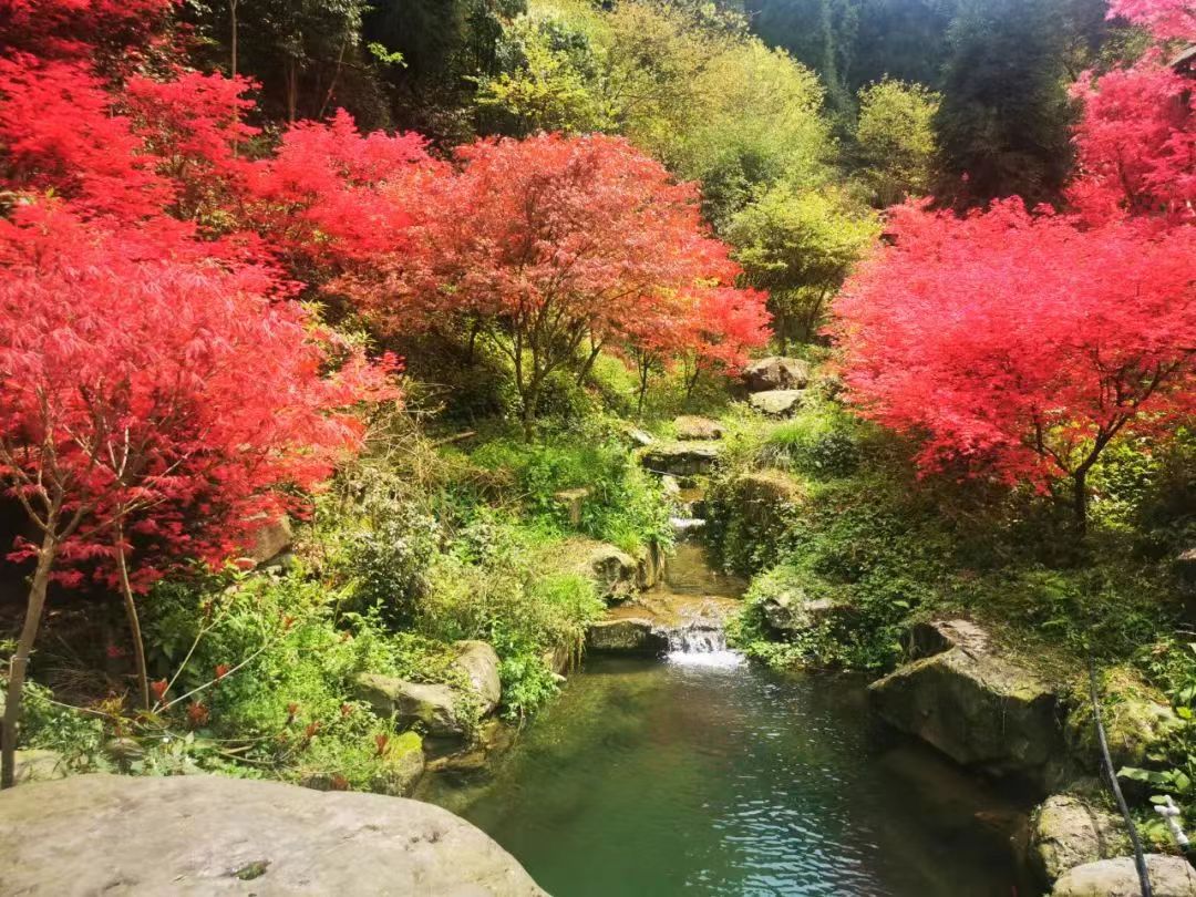 红枫岭有哪些景点,川西红枫岭旅游景点