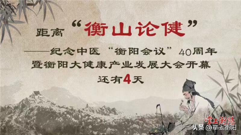 衡山康养,南岳衡山国际中医康养产业园