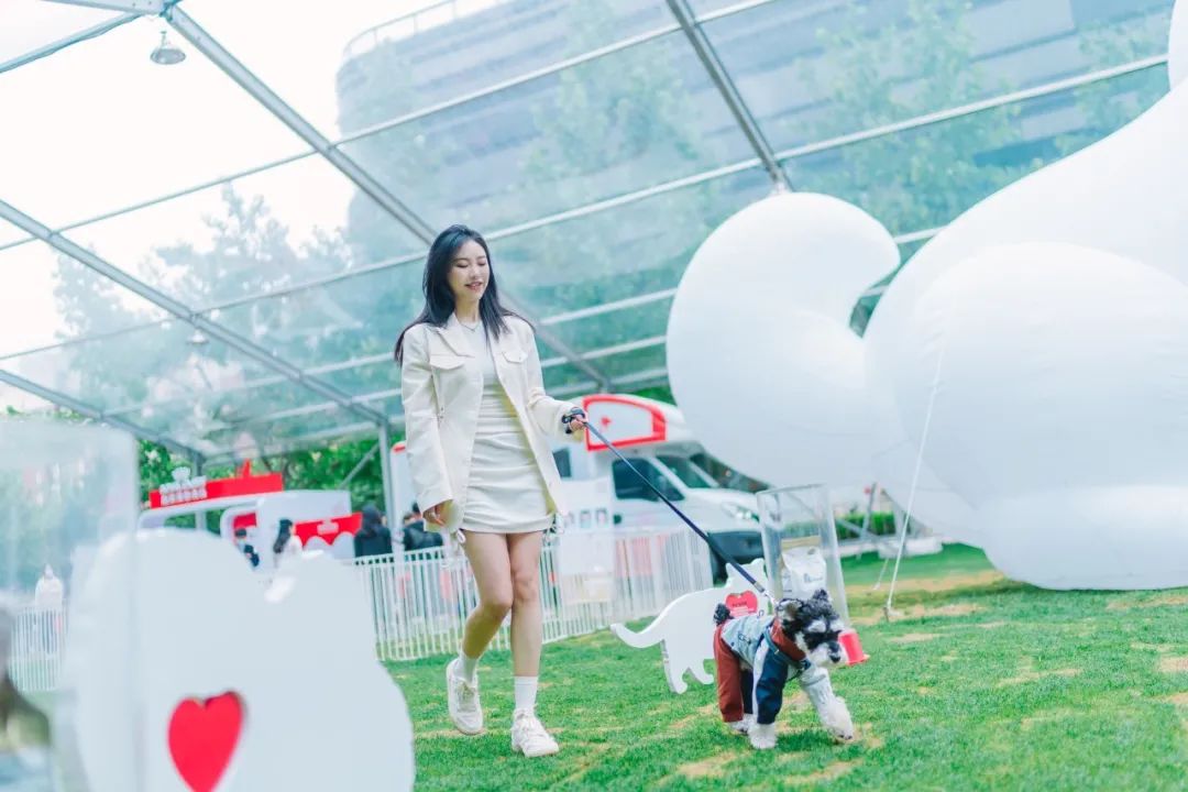 市区100平米宠物游乐园,宠物游乐场室内