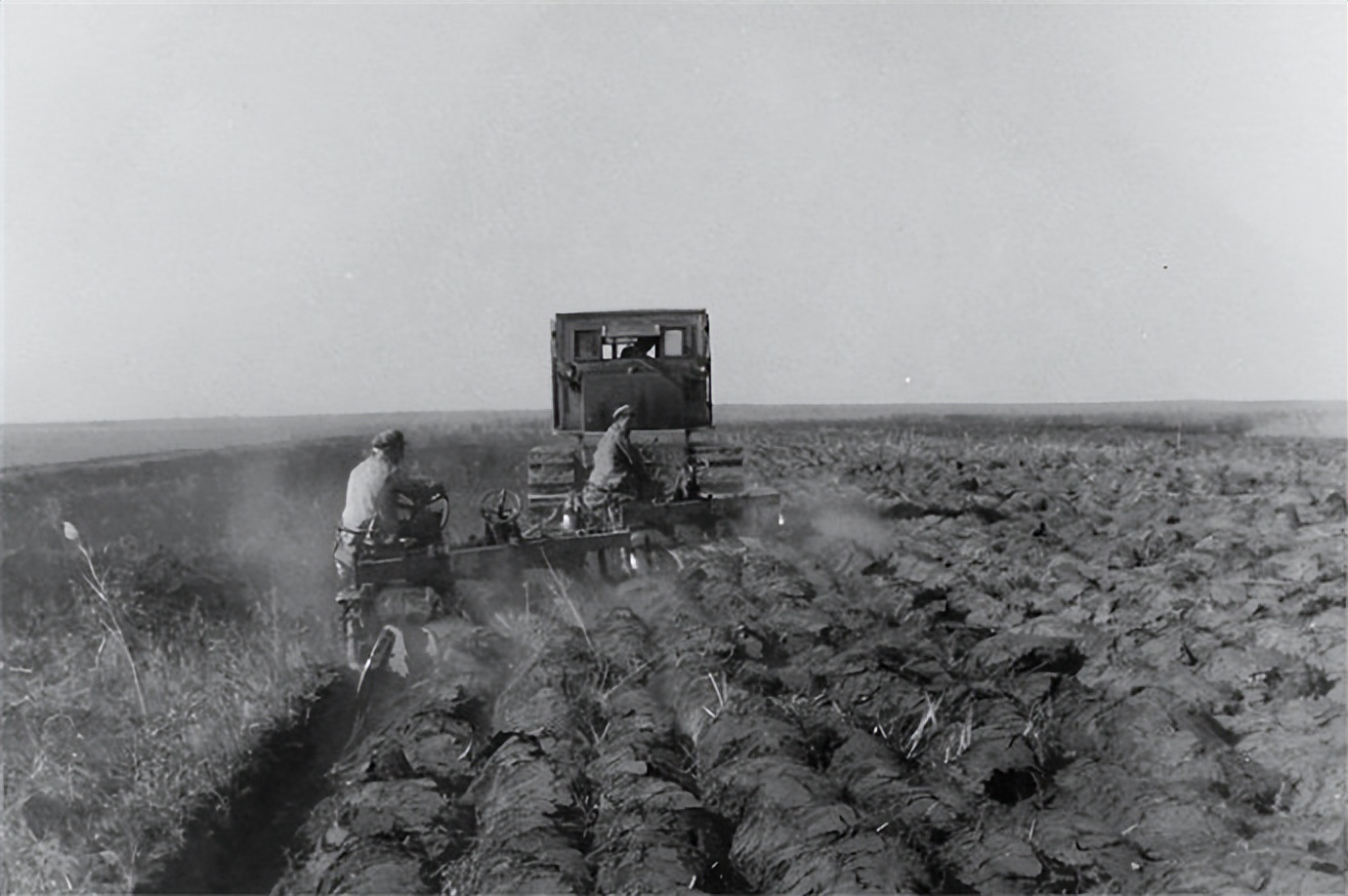 来自塔里木《塔河文苑》：睡着的胡杨