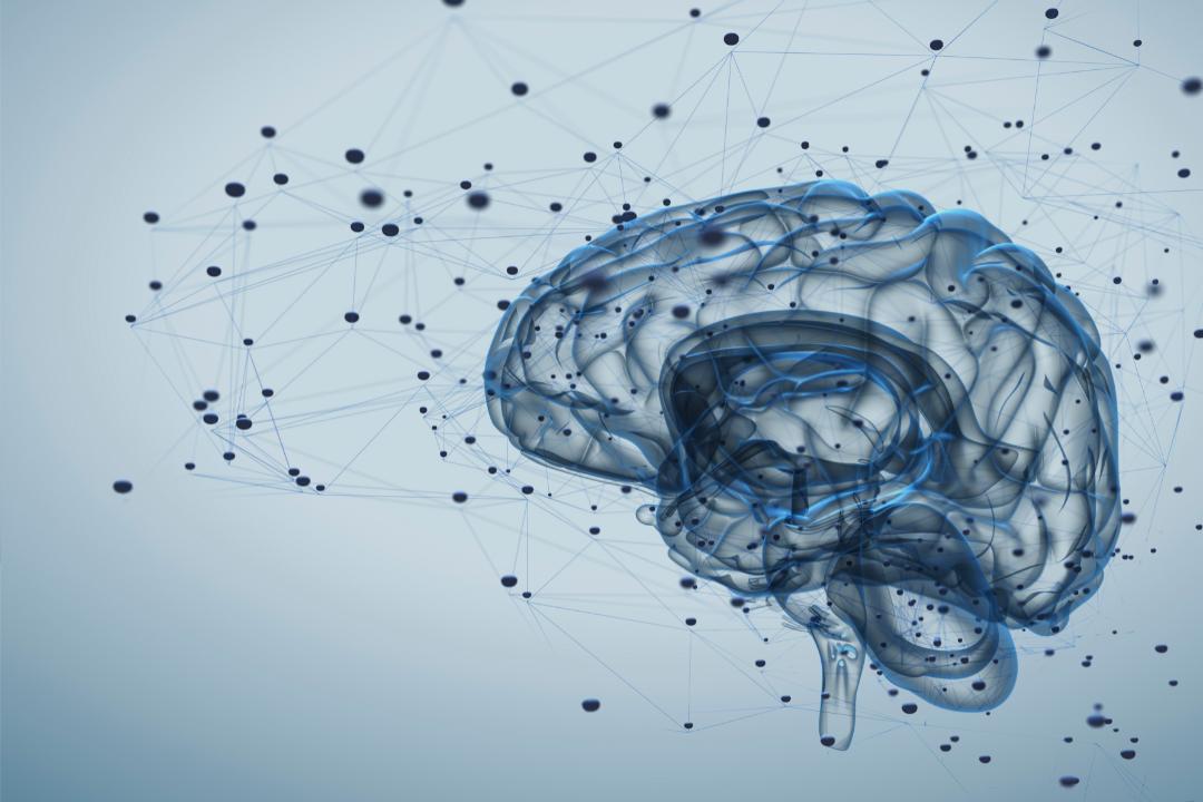 脑动静脉畸形介入手术风险,脑动静脉畸形无症状需要治疗吗