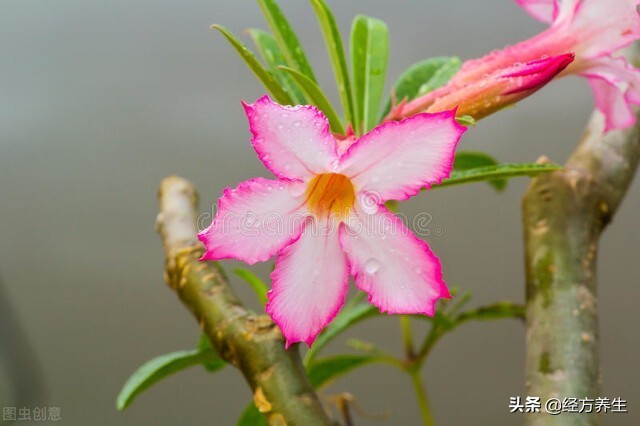 额头皱纹是怎么产生的,50岁后额头上的皱纹产生的原因