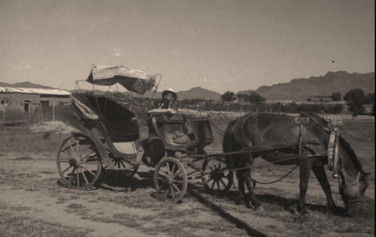 日军日记：在徐州建立了慰安所，不听话的女人就割掉其乳房!