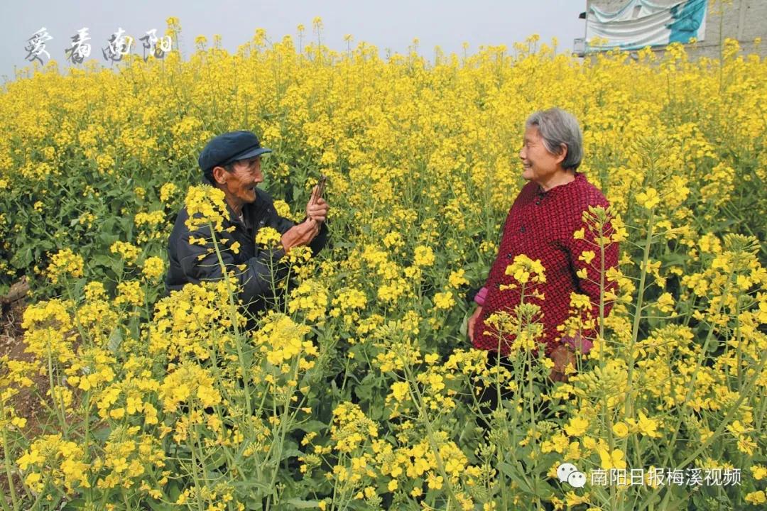 爱看南阳㉟你好2022，再见2021