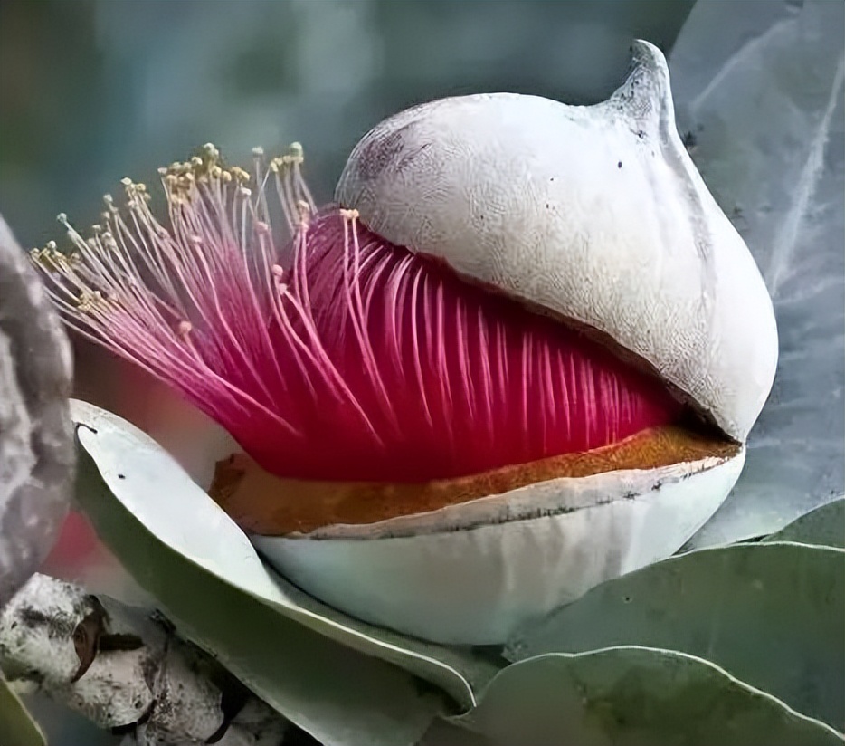 北仑疫情还回得了家吗,北仑疫情出不去了么