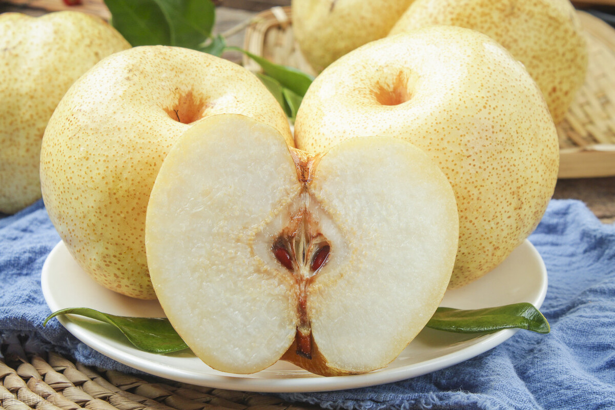 比熊没有泪痕可以吃泪痕药吗,比熊吃什么去火去泪痕