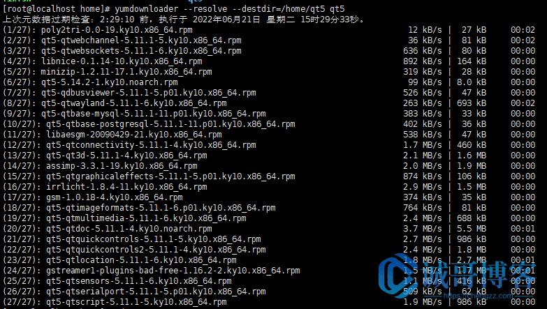 在服务器部署东西必须要专网吗,在服务器安装软件