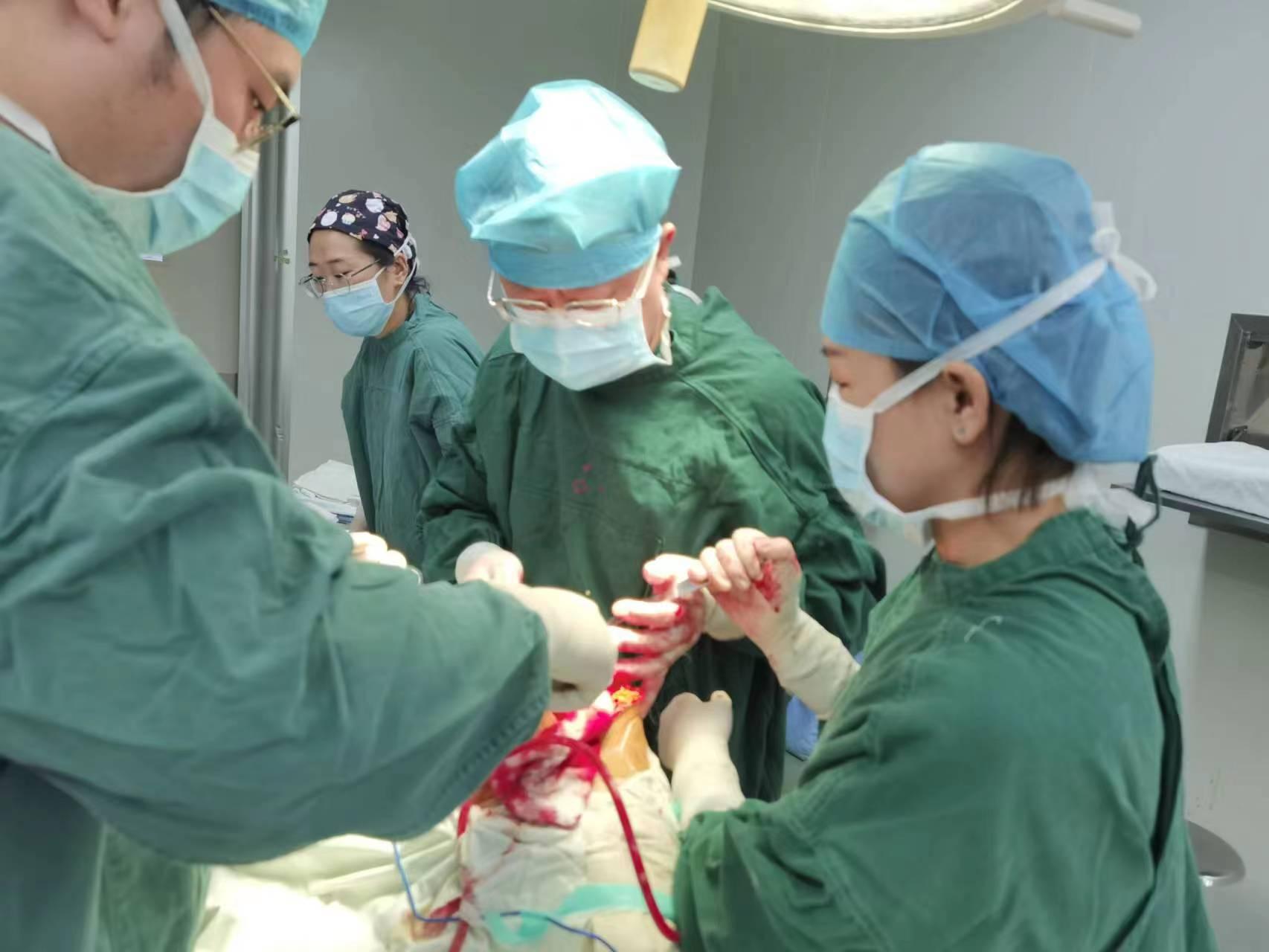 砥砺奋进，勇攀高峰——创新发展的金州区中医医院骨伤二科